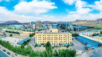 全國僅兩家電石企業(yè)獲這個國家級榮譽 東方希望烏海電石拿到了!