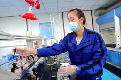 寧夏平羅縣:聚力打造高質(zhì)量發(fā)展新&ldquo;引擎&rdquo;