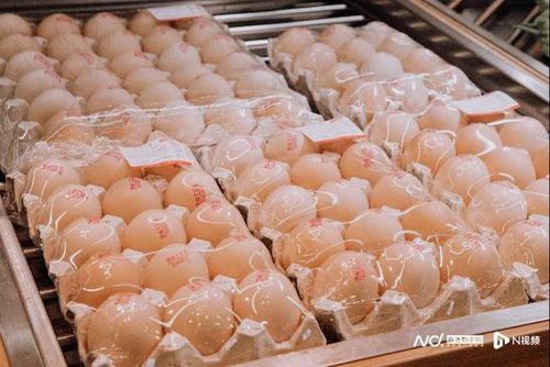 全國基地直采助力 百千萬工程 錢大媽帶動農(nóng)產(chǎn)品出山入灣