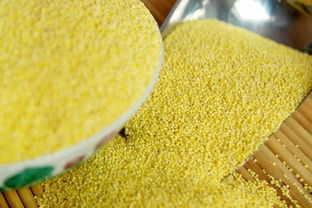 濟(jì)南十大特產(chǎn)推薦 值得購(gòu)買的精選伴手禮