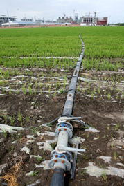 天業(yè)大力使用低汞觸媒，敢當(dāng)中國(guó)氯堿行業(yè)無(wú)汞化的探路先鋒